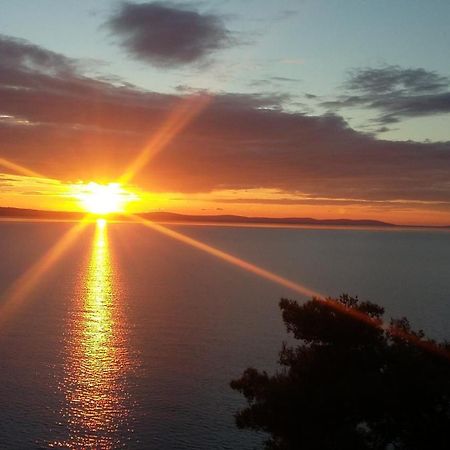 Апартаменты Sunrise Vid Дуги-Рат Экстерьер фото
